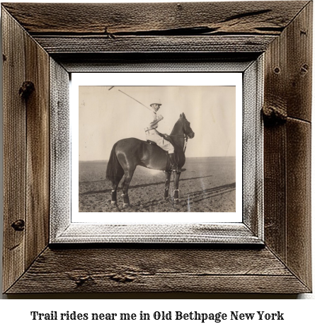 trail rides near me in Old Bethpage, New York